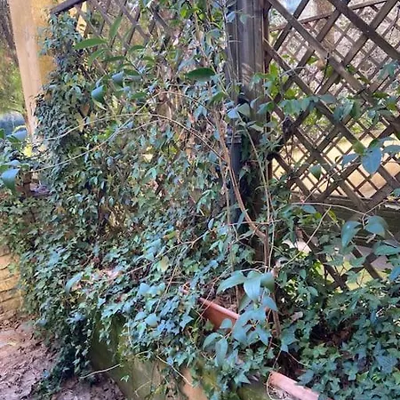 Carlo & Dany Piano Terra In Centro Con Giardino